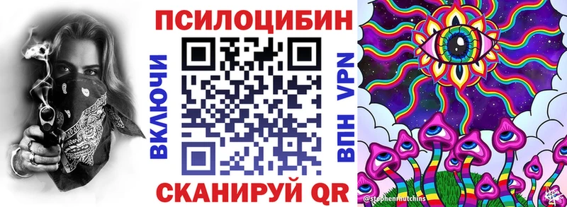 наркота  Шацк  blacksprut ТОР  Псилоцибиновые грибы Cubensis 